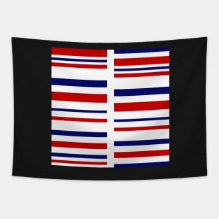 Red and blue stripes on white Tapestry