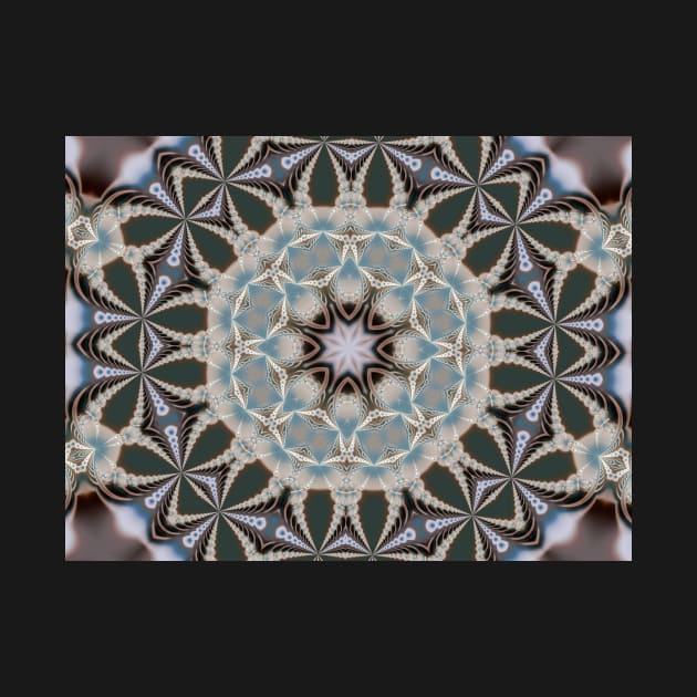 Fractal kaleidoscope by pinkal