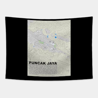 Papua Peaks: Jaya Topography Tapestry