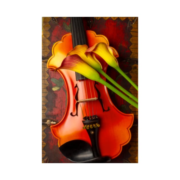 Calla lilies On Baroque Violin by photogarry