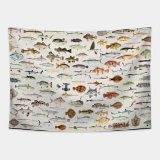 Fish Chart Tapestry