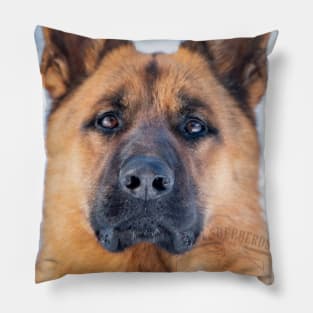 Parcour!  German Shepherd Dog Pillow