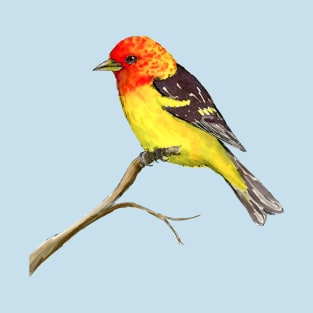 Western tanager watercolor and ink drawing T-Shirt