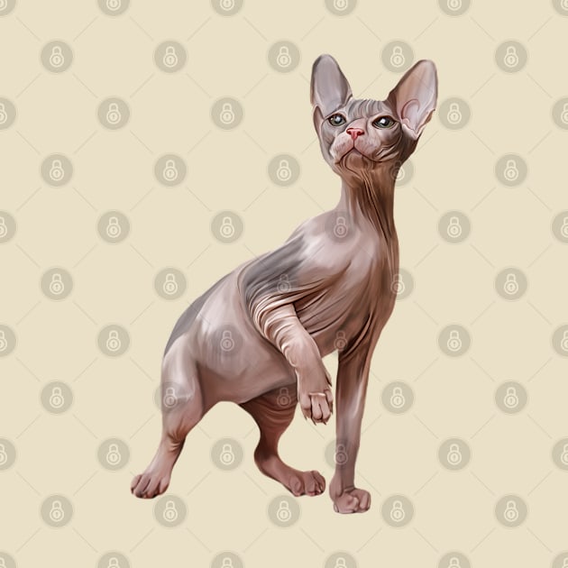 Drawing Sphynx kitten by Bonidog