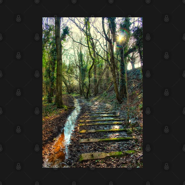 Puddles on the Tracks by InspiraImage