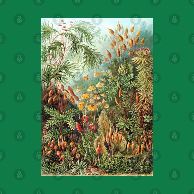 Vintage Colorful Tropical Plants in Blossom Paradise Garden by codeclothes