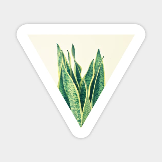 Snake Plant Magnet by Cassia