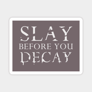 Slay Before You Decay Magnet