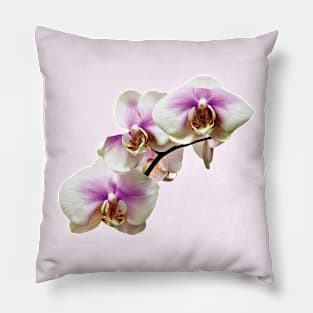 Pale Magenta and White Orchids Pillow