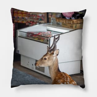 A deer giving me the disappointed look for spoiling its chance of sneaking into the store Pillow