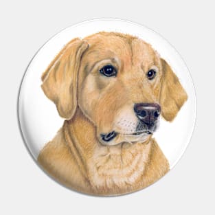 Labrador retriever - Yellow P Pin