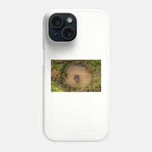 mouse in a hole Phone Case