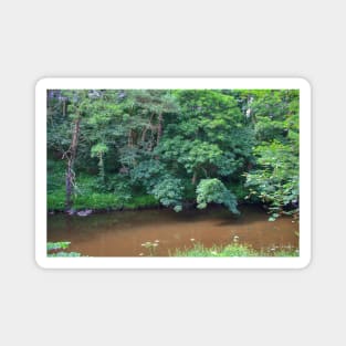 River Almond Magnet