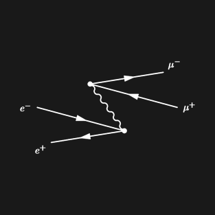 Feynman diagram, electron positron scattering T-Shirt