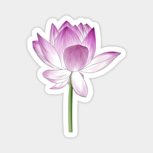 Lotus flower Magnet