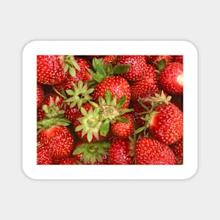 June is Strawberry Time Magnet