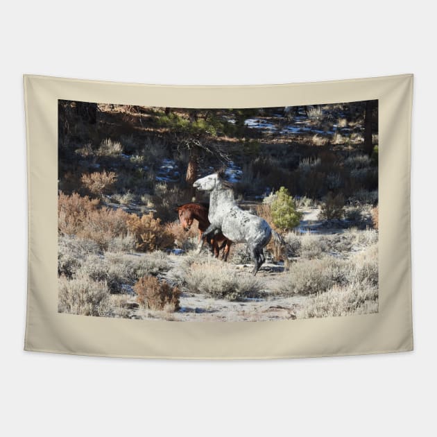 Wild horses, wildlife, nature, gifts Tapestry by sandyo2ly