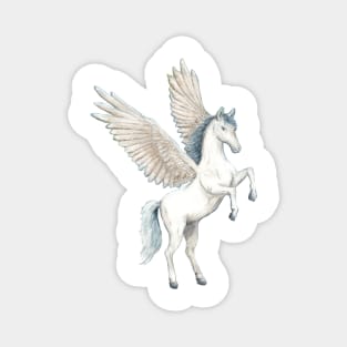 Pegasus Magnet