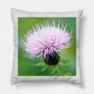 Thistle Pillow