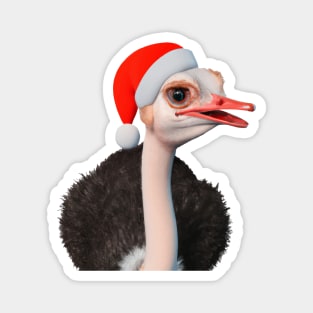 Funny Christmas Ostrich in Santa Hat Magnet