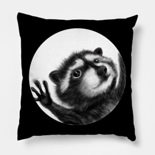 Pedro the Racoon Pillow