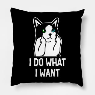 What I Want Pillow