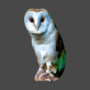 Barn Owl T-Shirt