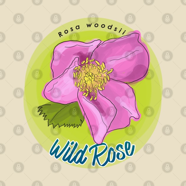 Wild Rose by unclelindsey