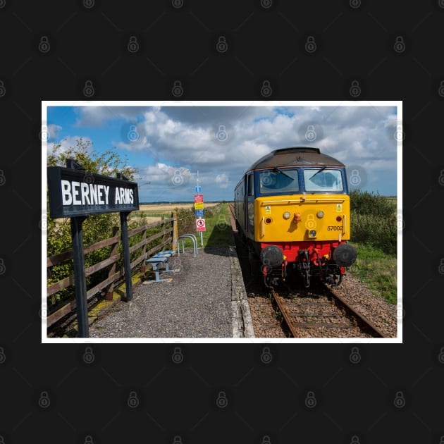 Class 57 at Berney Arms by Robert john