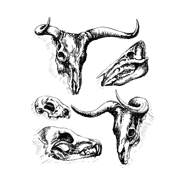 Animal Skulls by SWON Design