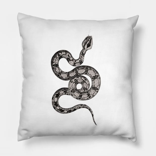 The sinuousness of the snake with its exposed skeleton Pillow by Marccelus