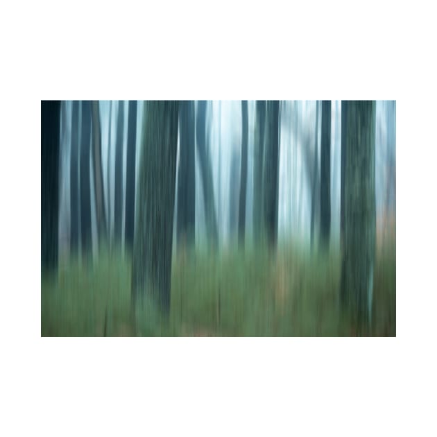 Blurred abstract trees in forest on foggy morning by jswolfphoto