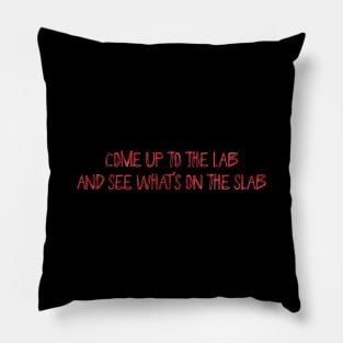 Come up to the lab Pillow