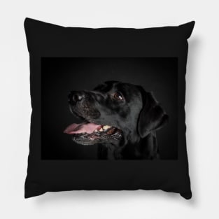 Labrador Retriever Pillow