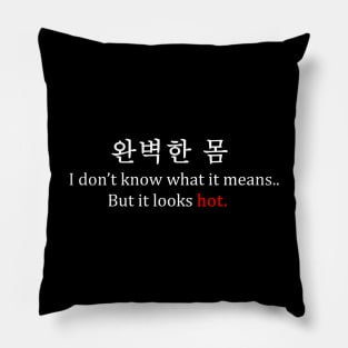 Korean Text  - It Looks hot Pillow