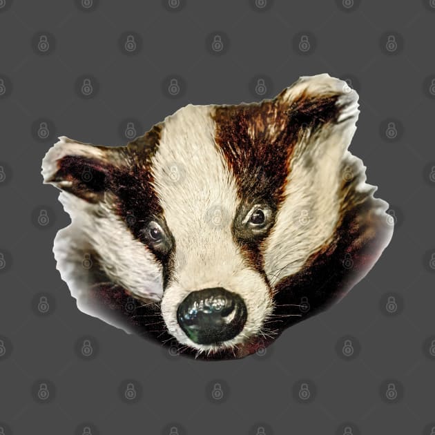 Arty Badger by dalyndigaital2@gmail.com