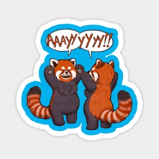 Ayyy Red Pandas! Magnet
