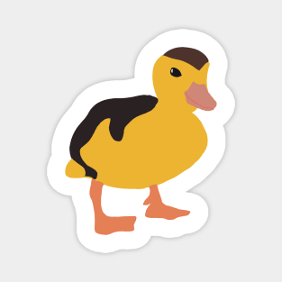 cute duck Magnet