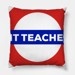 Literature Teacher Pillow