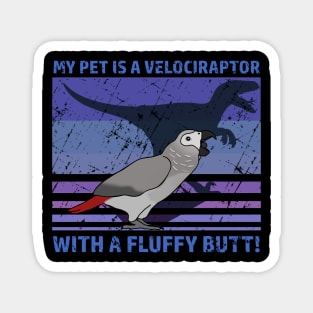 My pet is a velociraptor with a fluffy butt - African Grey Magnet