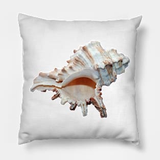 Grand conch seashell Pillow