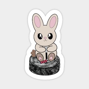 Puck Bunny (Columbus) Magnet