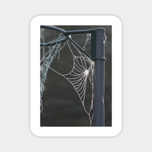 Frosty cobweb Magnet