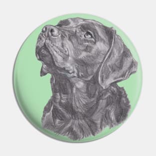 Classic Labrador Retriever Dog Profile Drawing Pin