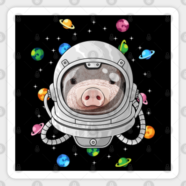 ltd spacepig