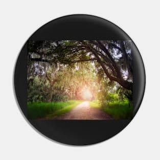 Sunlit Trail Pin