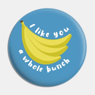 I Like You A Whole Bunch Banana Pun Pin