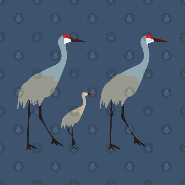 Sandhill cranes with baby by Jennifer Ladd