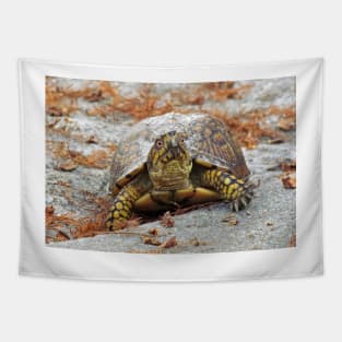 Eastern Box Turtle Tapestry