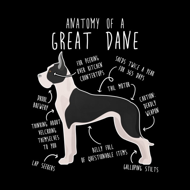 Cropped Mantle Great Dane Dog Anatomy by Psitta